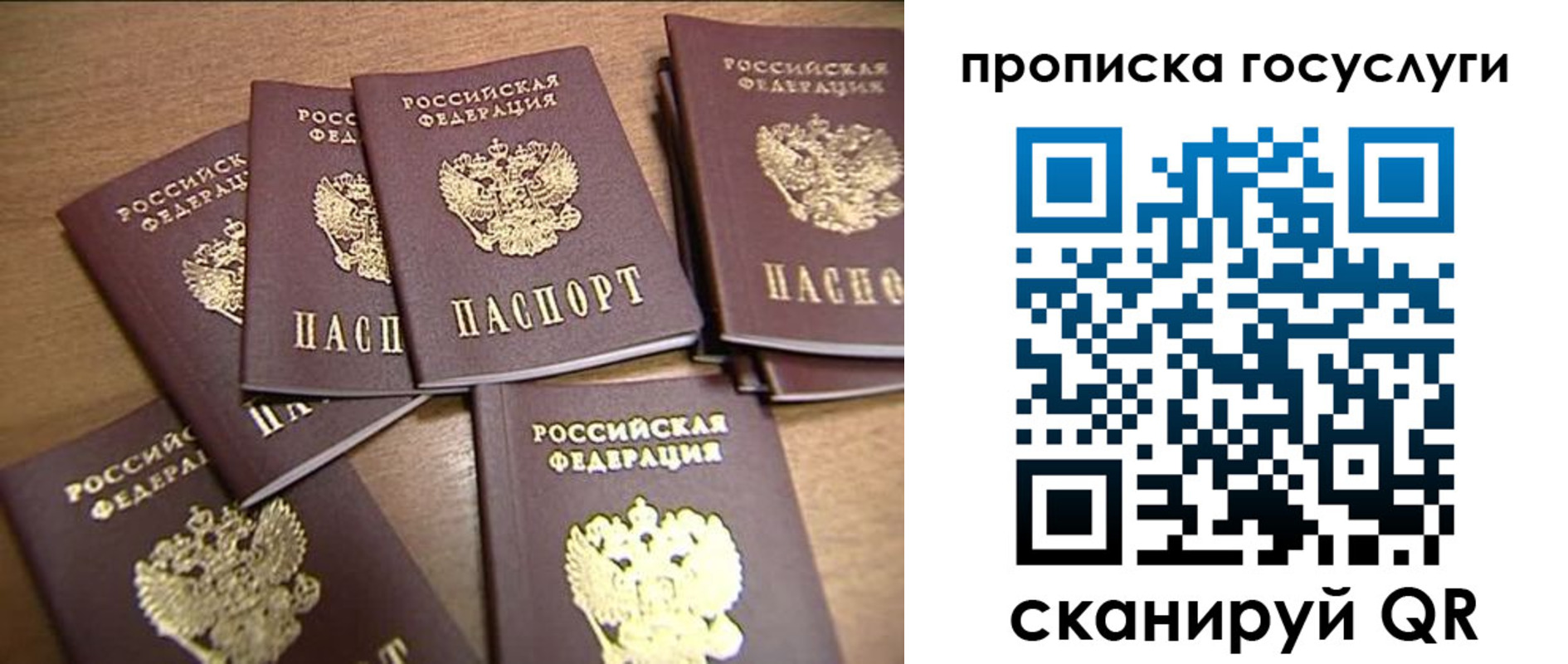 прописка для работы в Электрогорске